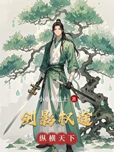 剑影权途