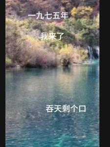 重生一九七五山清水秀小山村